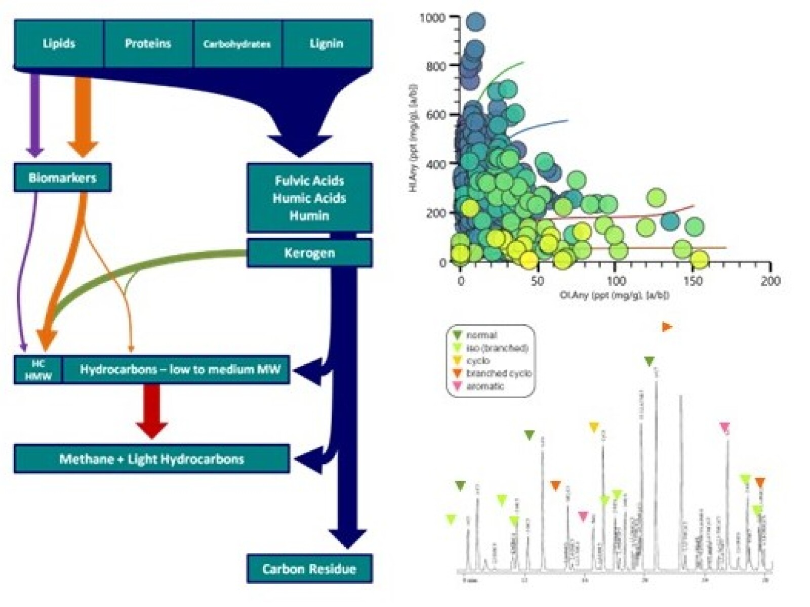 Basic Petroleum Geochemistry