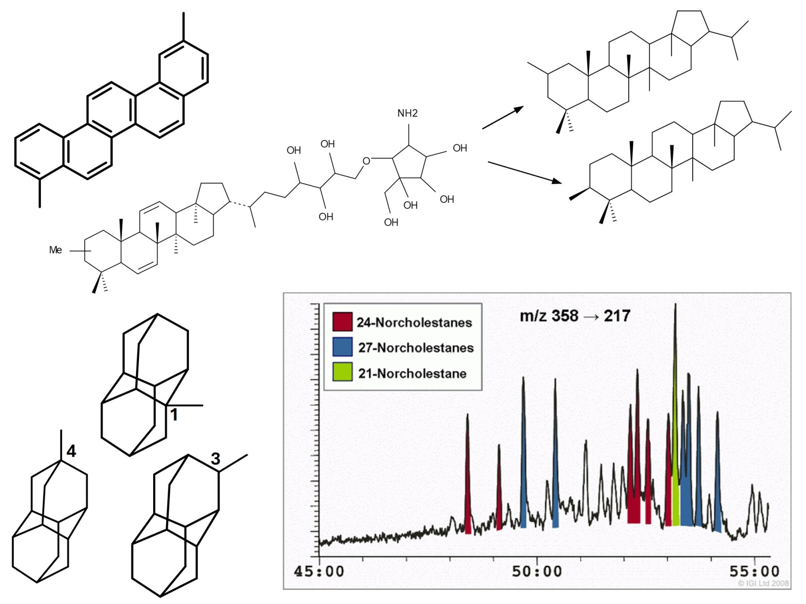 Highly Advanced Petroleum Geochemistry