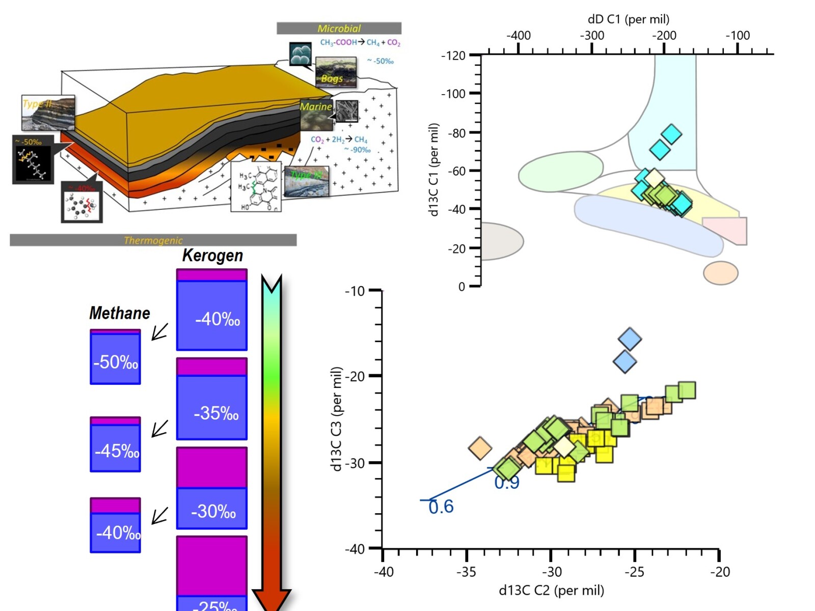 Hydrocarbon Gas Geochemistry