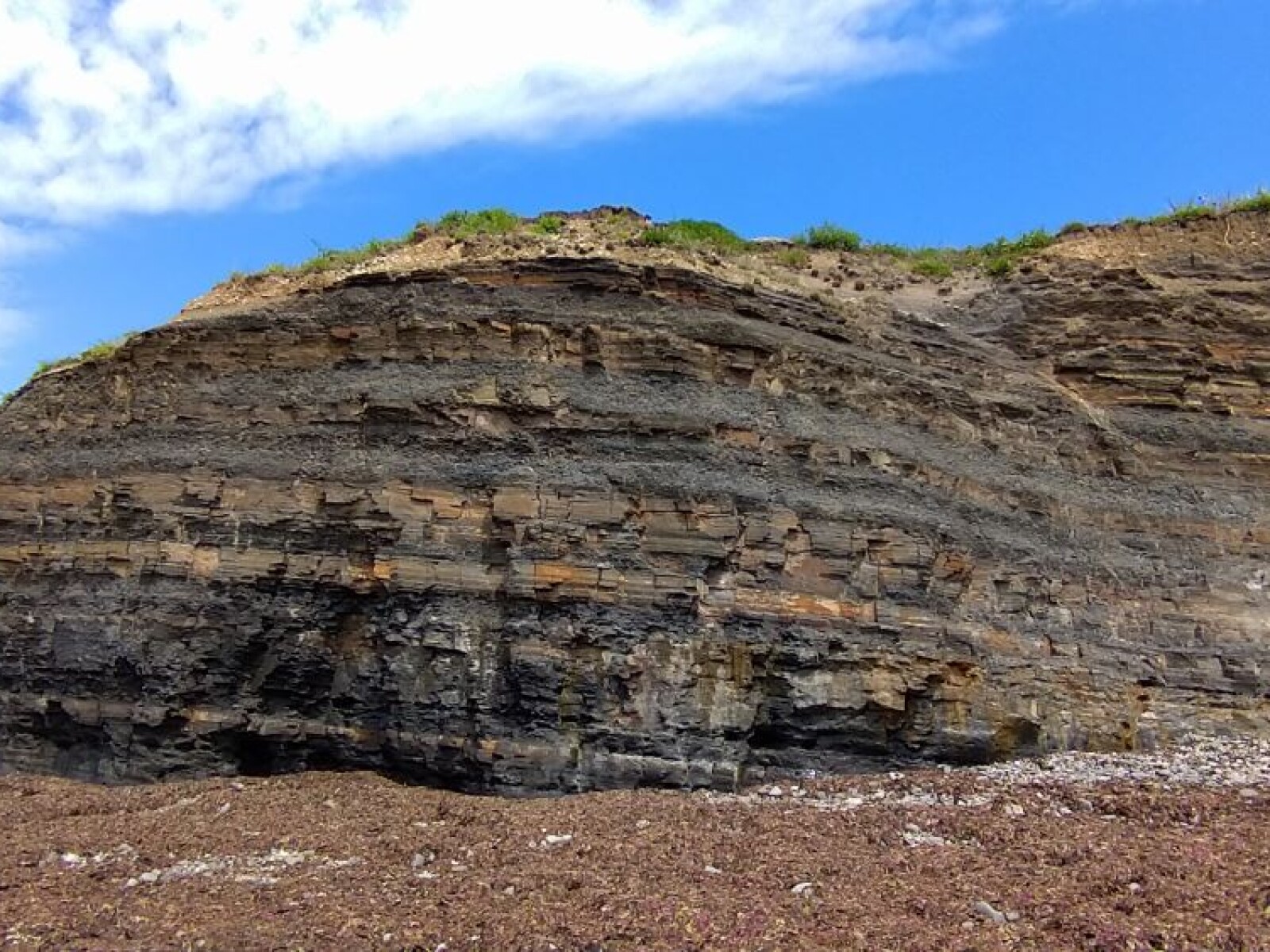 Kimmerdige Bay Location Interest