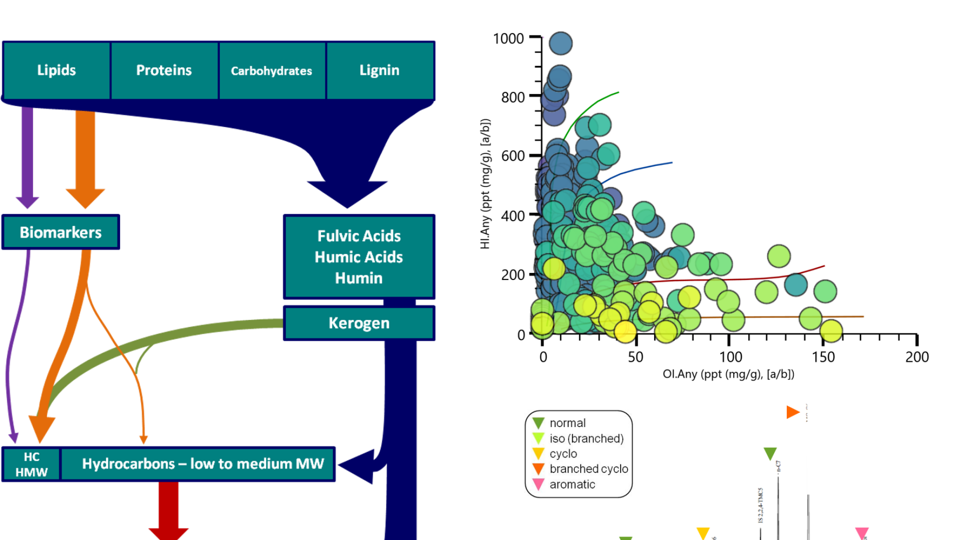 Basic Petroleum Geochemistry Header