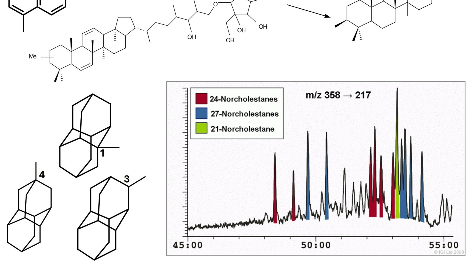 Highly Advanced Petroleum Geochemistry Header