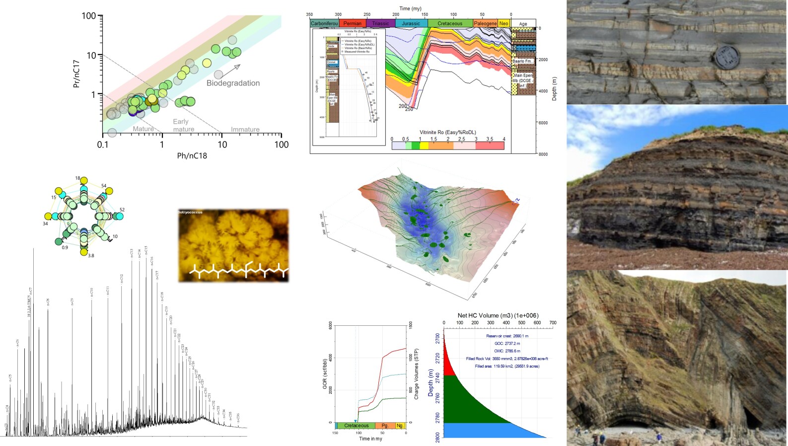 Training Overview Header