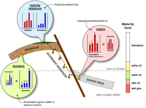 ‘Maturity contradictions’: Migration-contamination in crude oil - IGI